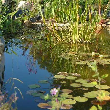 Chateau Ysard * Camblanes-et-Meynac