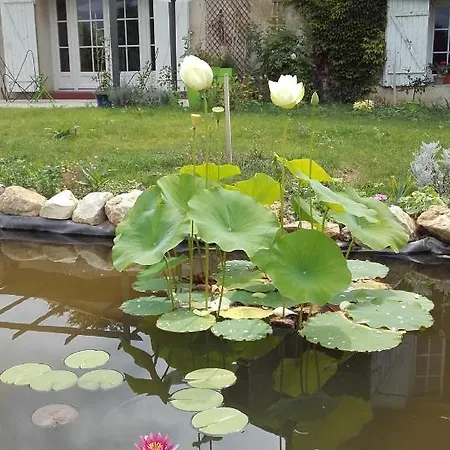 Chateau Ysard * Camblanes-et-Meynac