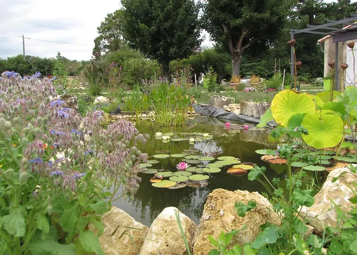 Chateau Ysard * Camblanes-et-Meynac