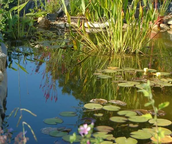 Chateau Ysard * Camblanes-et-Meynac