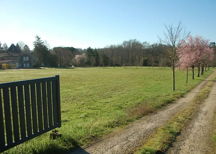 Chateau Ysard * Camblanes-et-Meynac