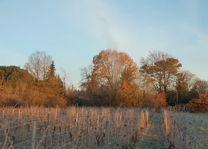 Chateau Ysard Camblanes-et-Meynac