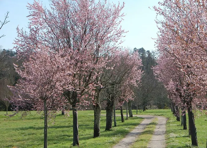 Chateau Ysard Vakantiehuis *